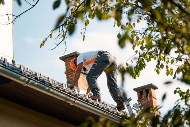 Best Chimney Flashing Repair  in Brandermill, VA
