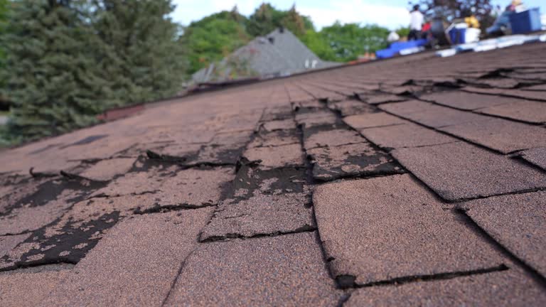 Steel Roofing in Brandermill, VA