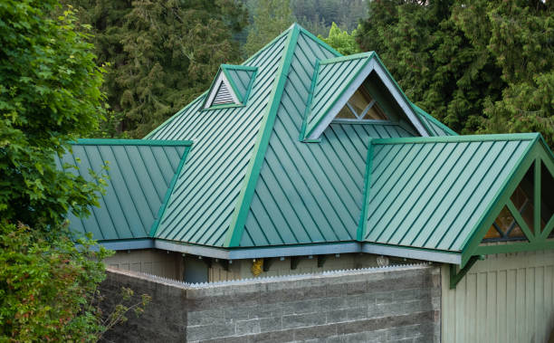 Best Roof Maintenance and Cleaning  in Brandermill, VA