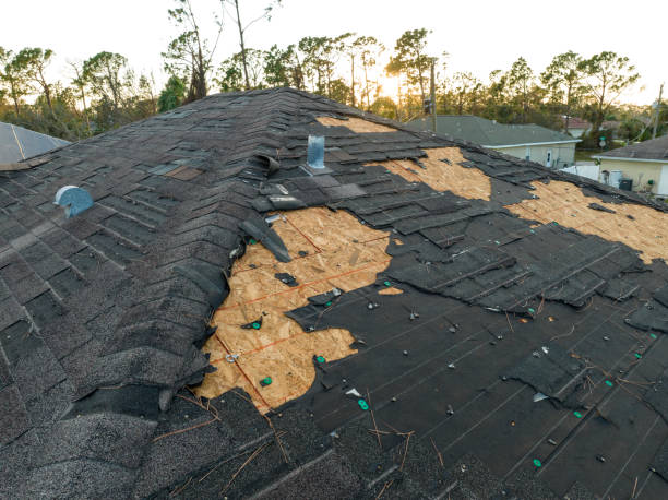 Best Solar Panel Roofing Installation  in Brandermill, VA